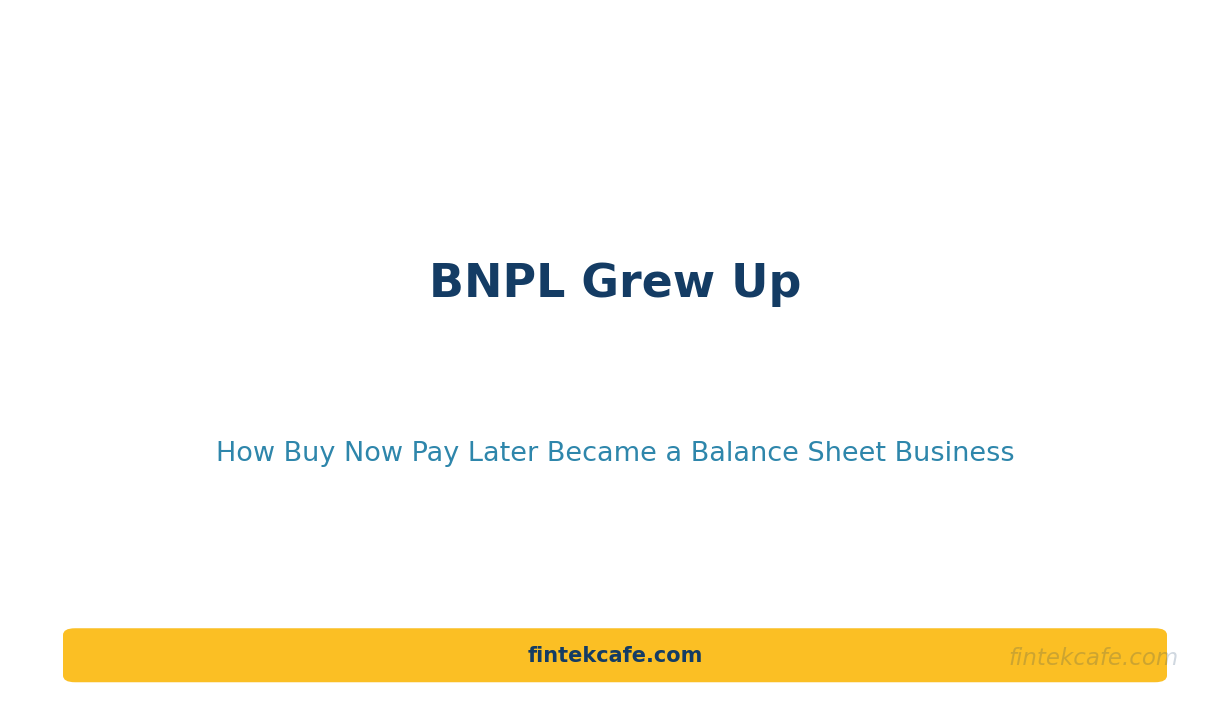 BNPL Grew Up: How Buy Now Pay Later Became a Balance Sheet Business