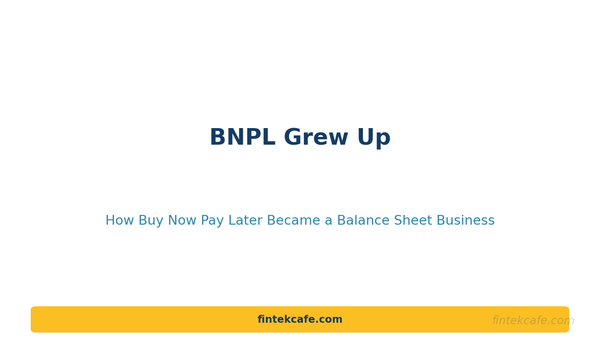 BNPL Grew Up: How Buy Now Pay Later Became a Balance Sheet Business